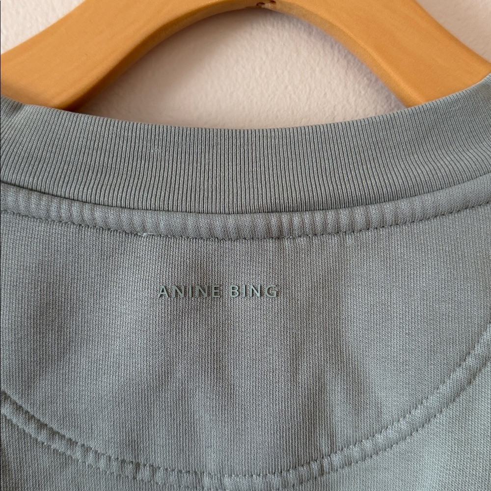 Anine Bing Tyler Sweatshirt in Sage Green Size S - Picture 5 of 7